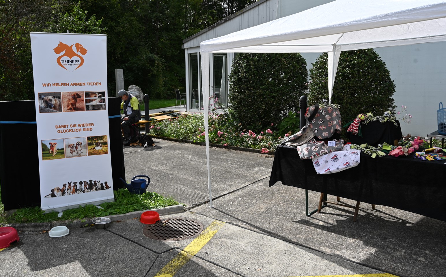 Dog Bar