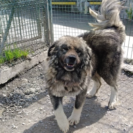 Zeus 1