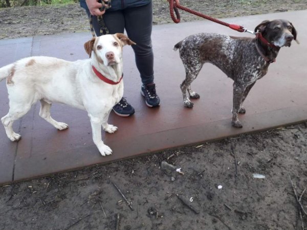 IMG-20190409-WA0013
